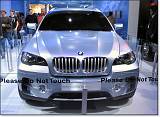  The BMW ConceptX.  Don't touch the angry BMW demi-SUV!